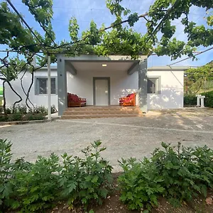 Progon House Gasthuis